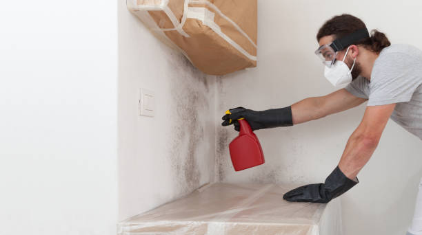 Professional Crawl Space Mold Remediation technician working in Keasbey, NJ