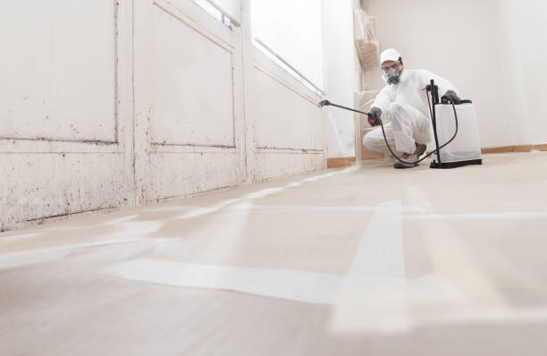 24/7 Emergency Crawl Space Mold Remediation experts in Keasbey, NJ