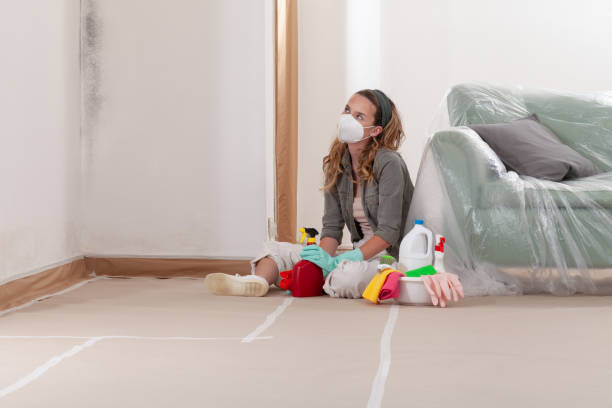 Reliable Crawl Space Mold Remediation contractor in Keasbey, NJ by Mold Remediation HQ